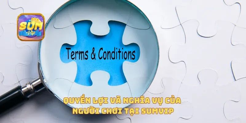  Quyền lợi và nghĩa vụ của người chơi